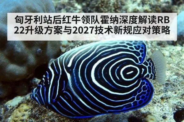 匈牙利站后红牛领队霍纳深度解读RB22升级方案与2027技术新规应对策略